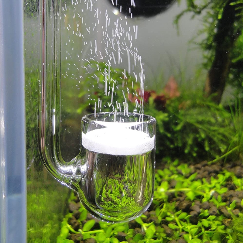 Planted Aquarium Equipment - Difusor CO2 vidrio D0AD para acuario