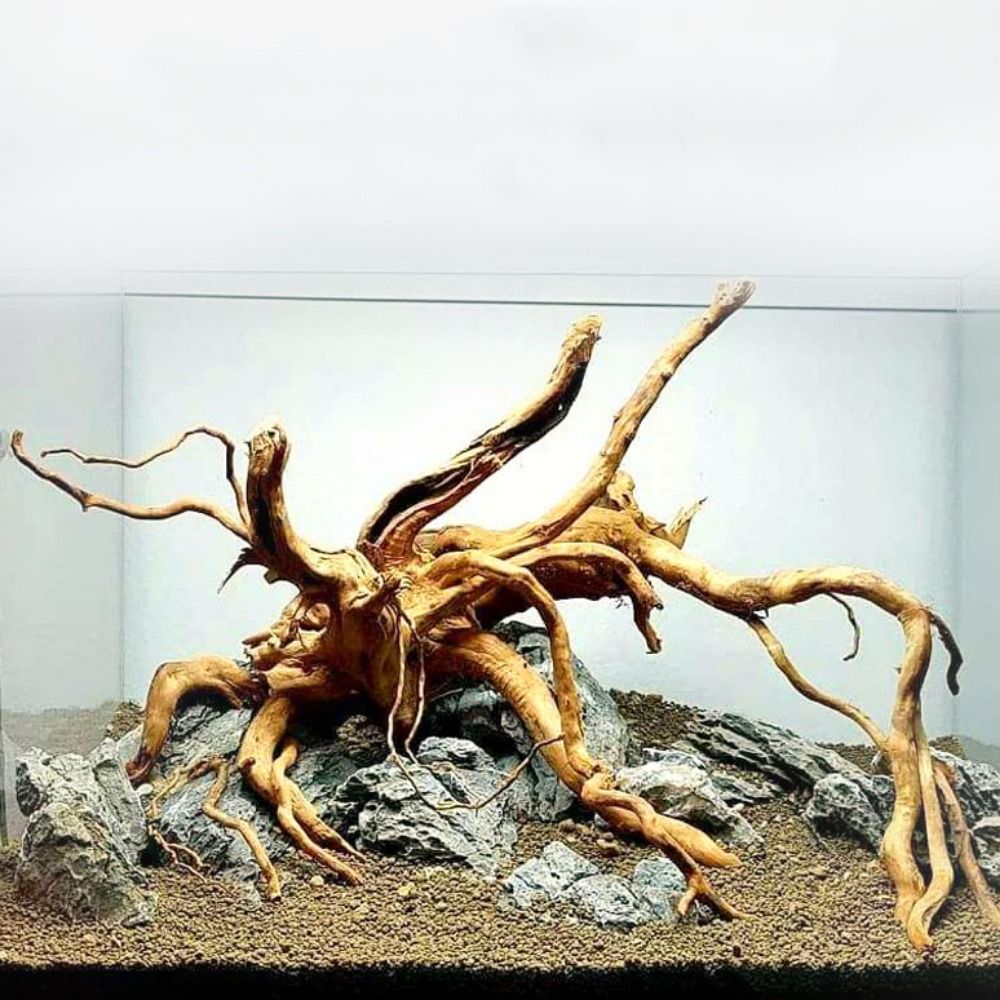 Aquarium Plant Guide - Decoración de tronco de árbol Natural