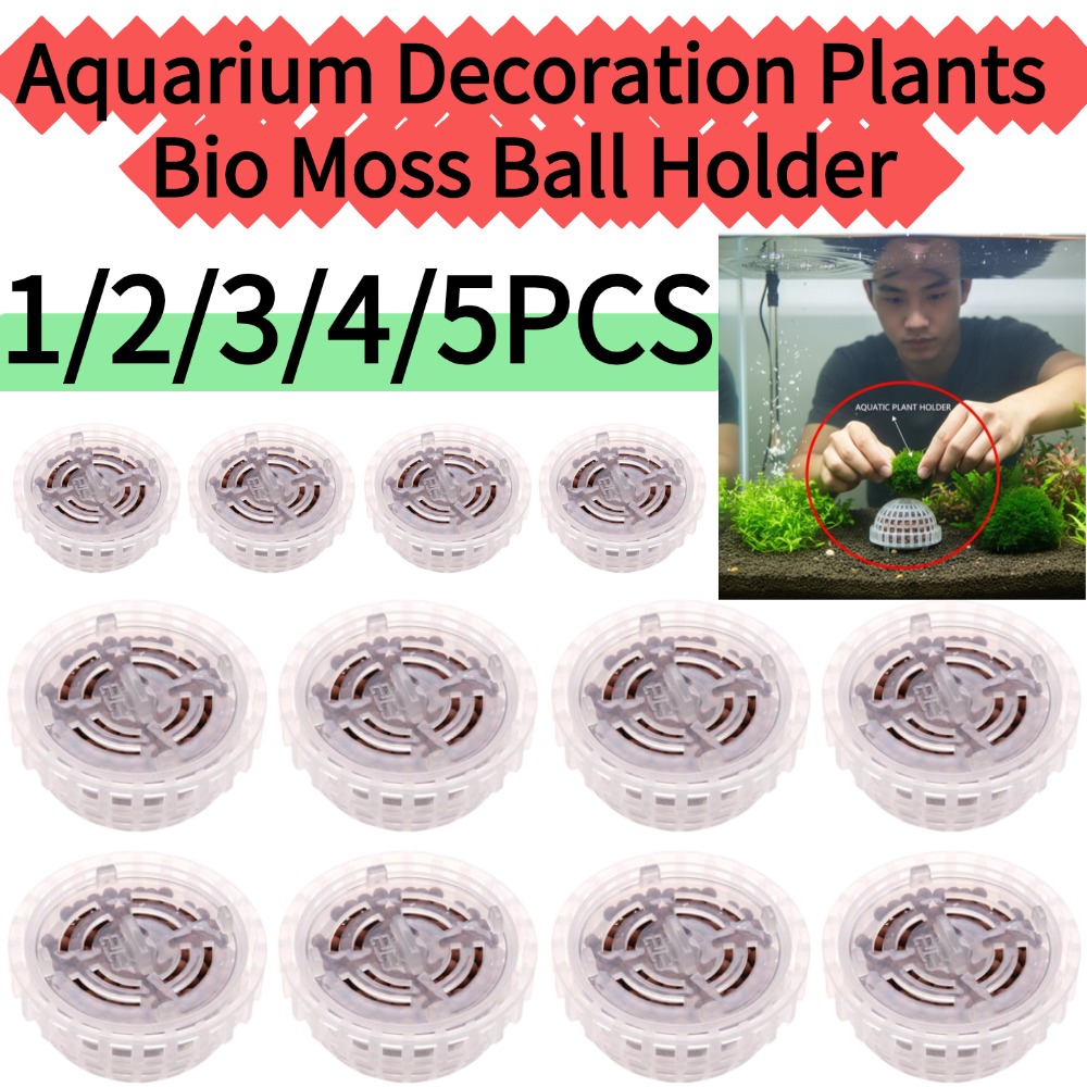 Planted Aquarium Moss - 1/2/3/4/5 Unidades de Plantas Decorativas para
