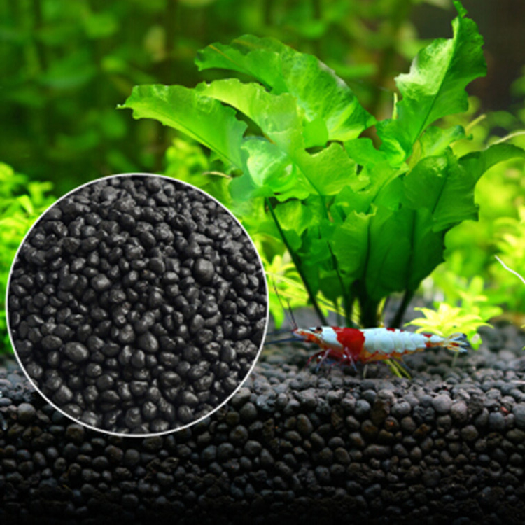 Planted Aquarium Moss - Semillas de plantas de Acuario, sustrato