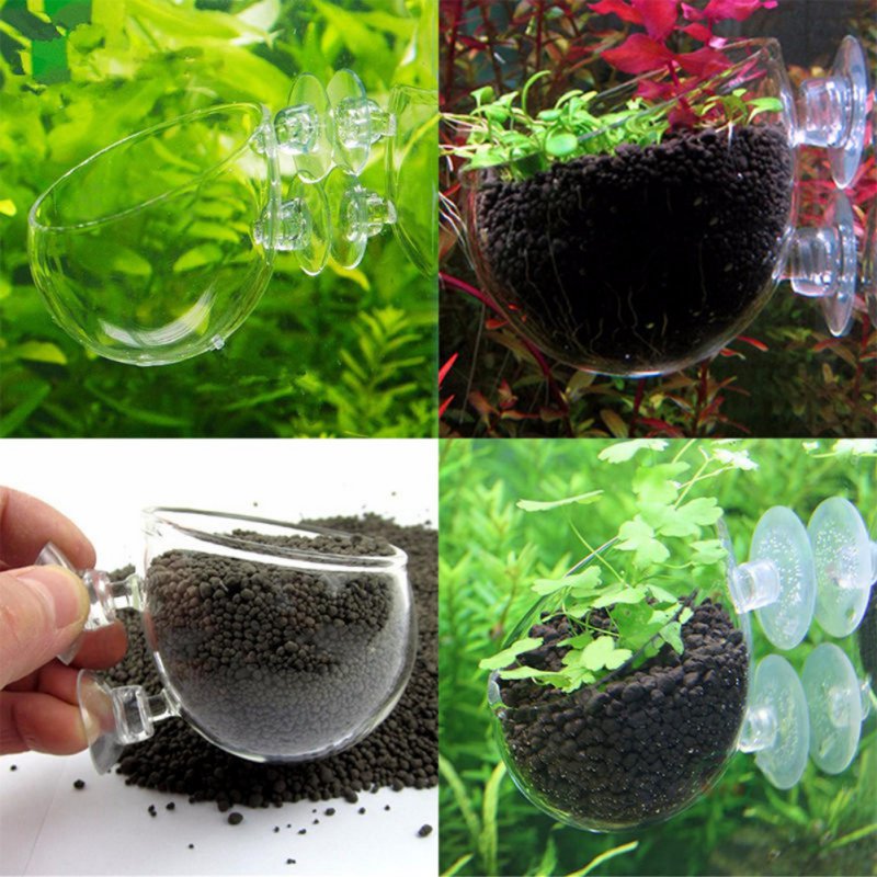 Planted Aquarium Moss - Maceta colgante para acuario, vaso cilíndrico