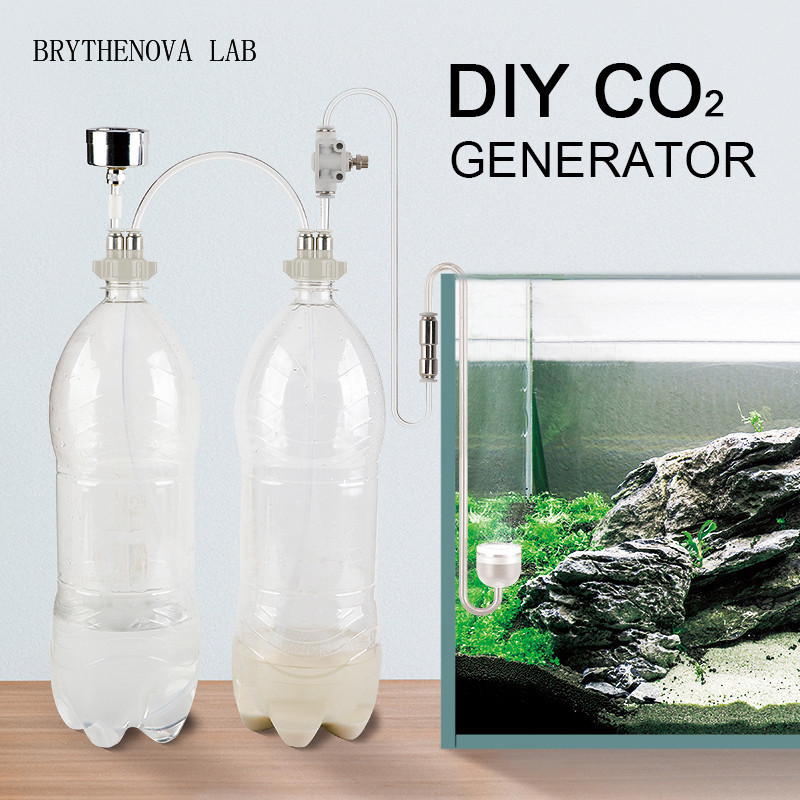 Generador de CO2 para Acuarios - Planted Aquarium Moss reseña y precio