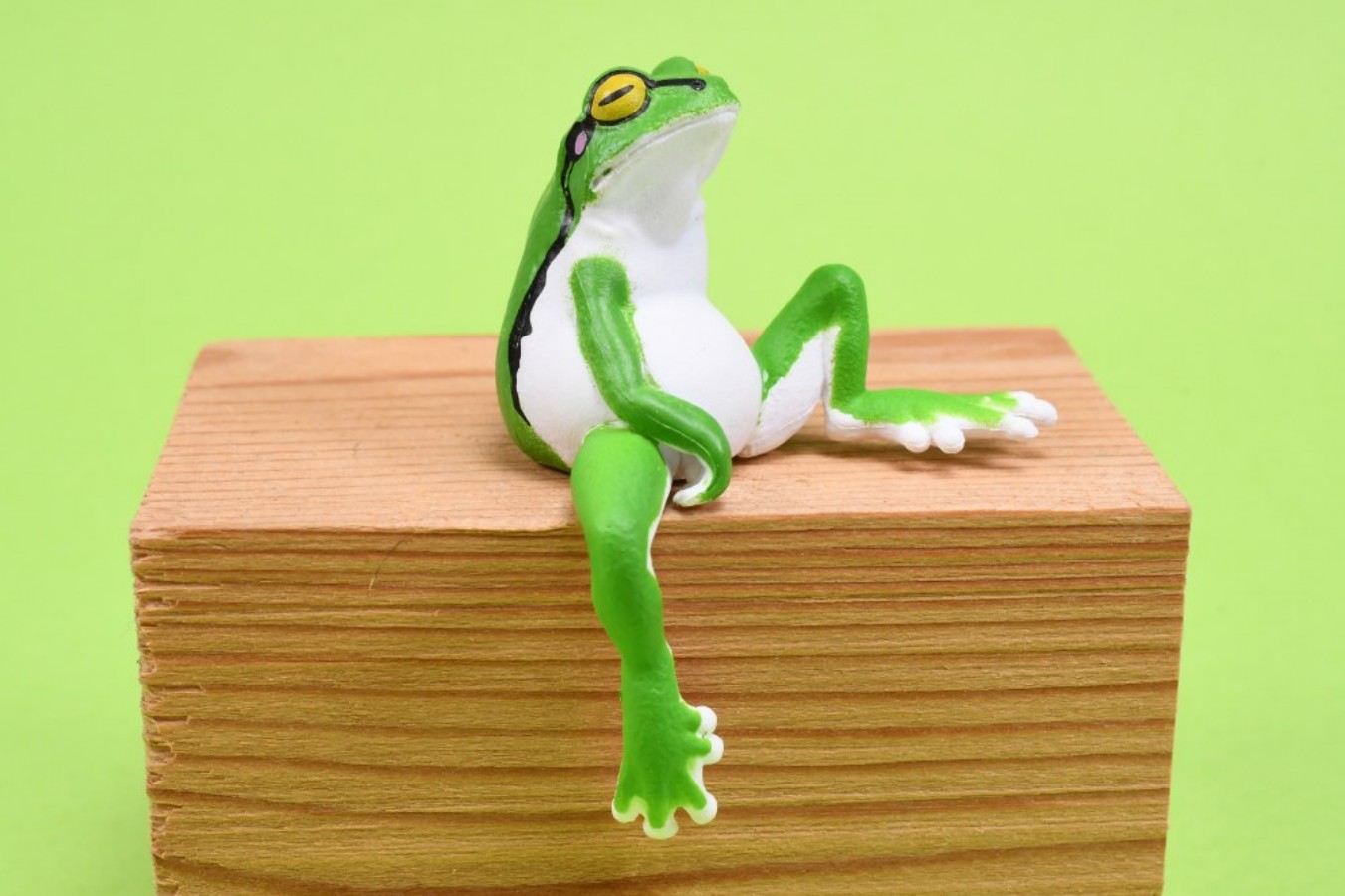YELL Juguetes Cápsula Kawaii:  - Aquarium Plant Guide reseña y precio