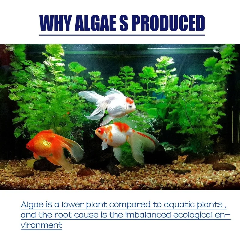 Algaecida de Alta Eficiencia d - Planted Aquarium Moss reseña y precio