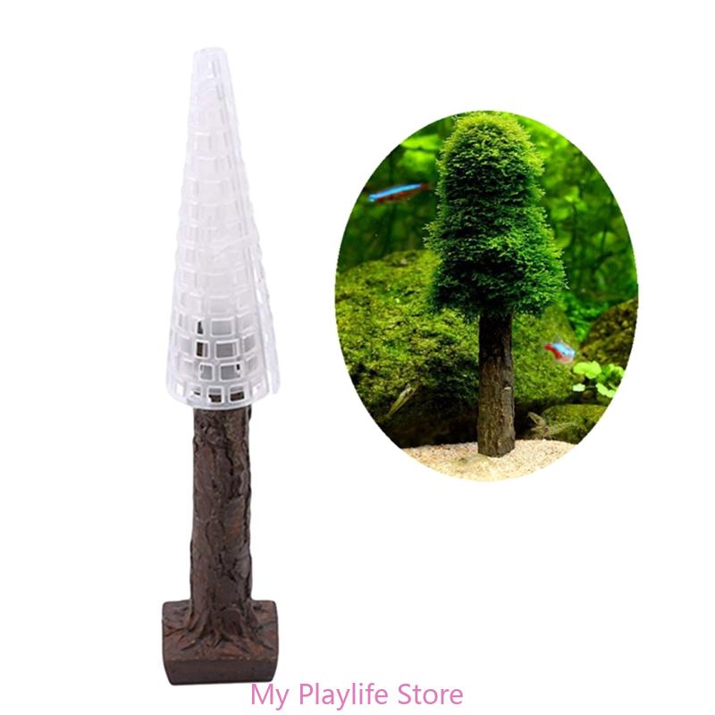 Soporte de plantas para pecera - Planted Aquarium Moss reseña y precio