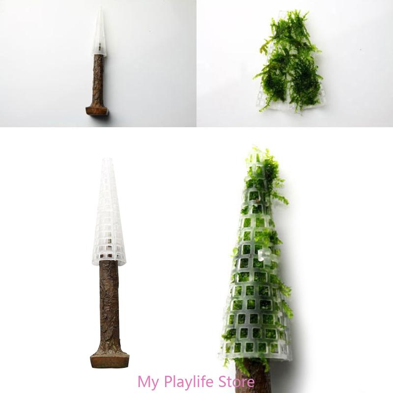 Soporte de plantas para pecera - Planted Aquarium Moss reseña y precio
