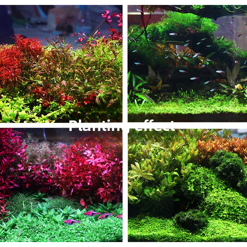 SYSENCIAGA-sustrato de acuario - Aquarium Planted Soil reseña y precio