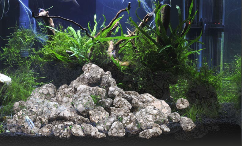 Maifan Stone Maifanite planta  - Aquarium Planted Soil reseña y precio