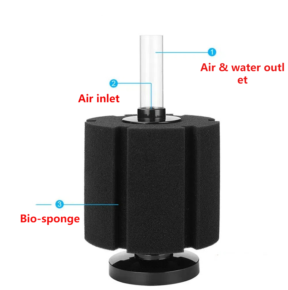 Esponja de filtro de acuario p - Aquarium Planted Filter reseña y precio