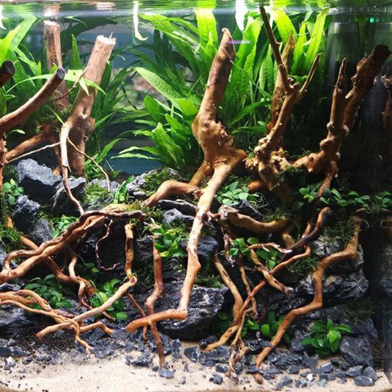 Acuario Micro paisaje Natural  - Aquarium Planted Soil reseña y precio