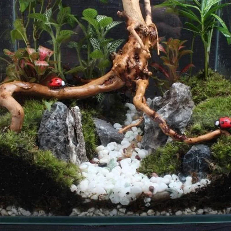 Tronco de Árbol Natural, Mader - Aquarium Plant Guide reseña y precio