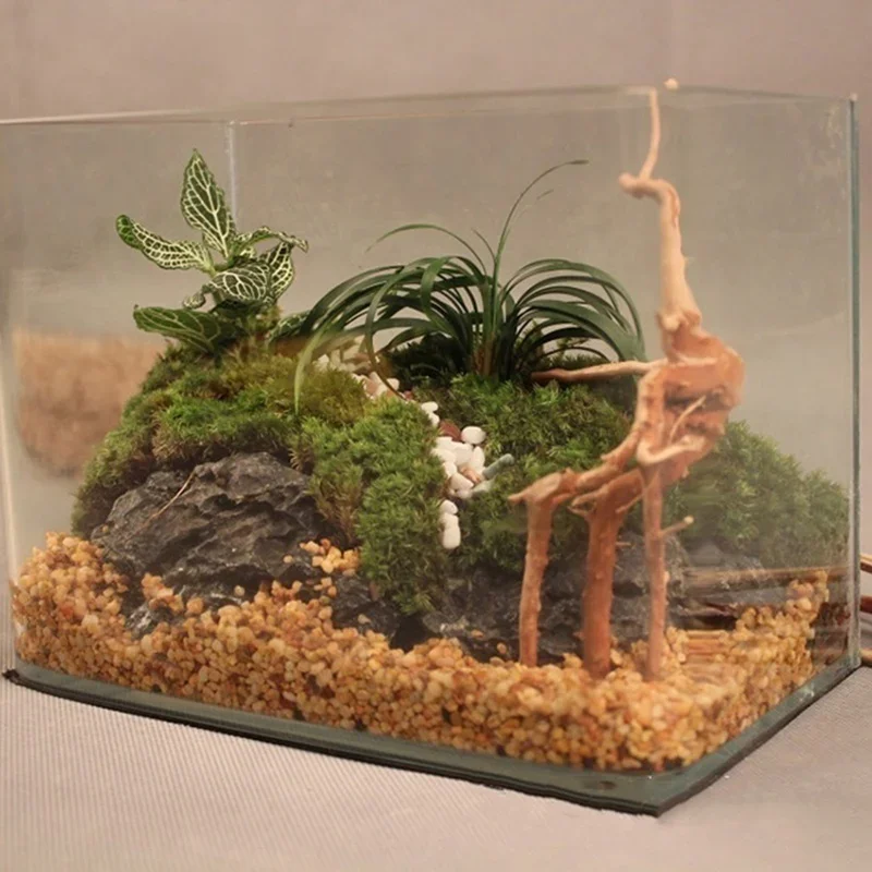 Tronco de Árbol Natural, Mader - Aquarium Plant Guide reseña y precio