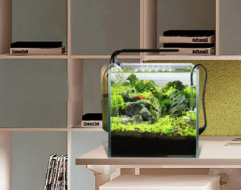 Chihiros Serie C Planta estilo - Aquarium Plant Diseases reseña y precio