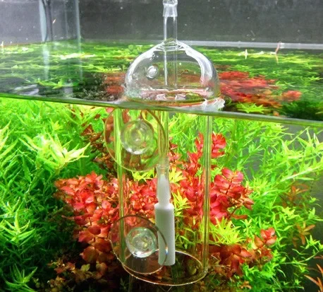 VIV DO DISPOSITIVO Cilindro de - Planted Aquarium Air Stone reseña y precio