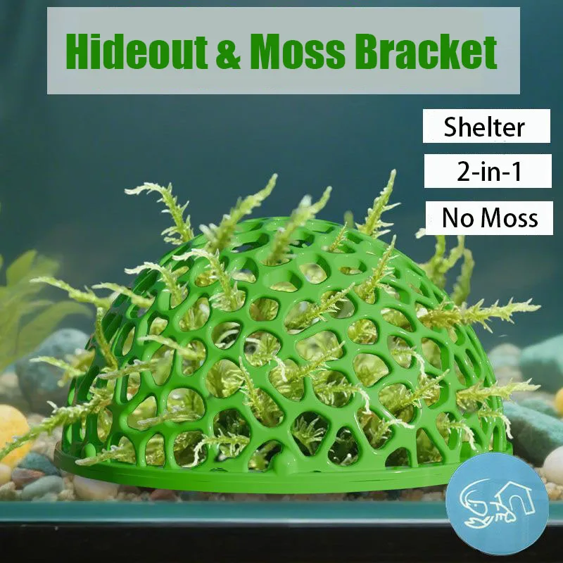 Recogedores de acuario, refugi - Planted Aquarium Moss reseña y precio