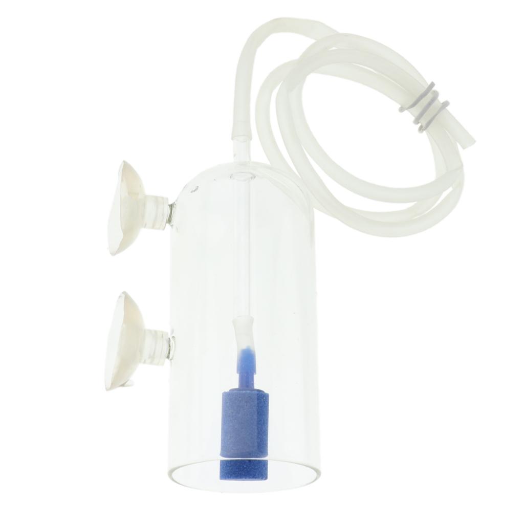 Difusor de CO2 de Vidrio para  - Planted Aquarium Air Stone reseña y precio