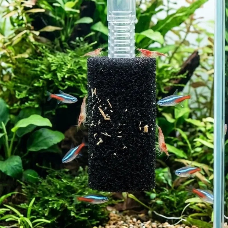 50/5x Esponja de pre-filtro pa - Aquarium Planted Filter reseña y precio