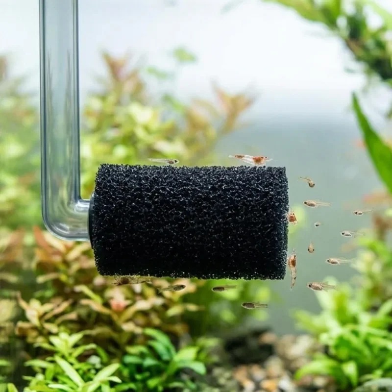 50/5x Esponja de pre-filtro pa - Aquarium Planted Filter reseña y precio