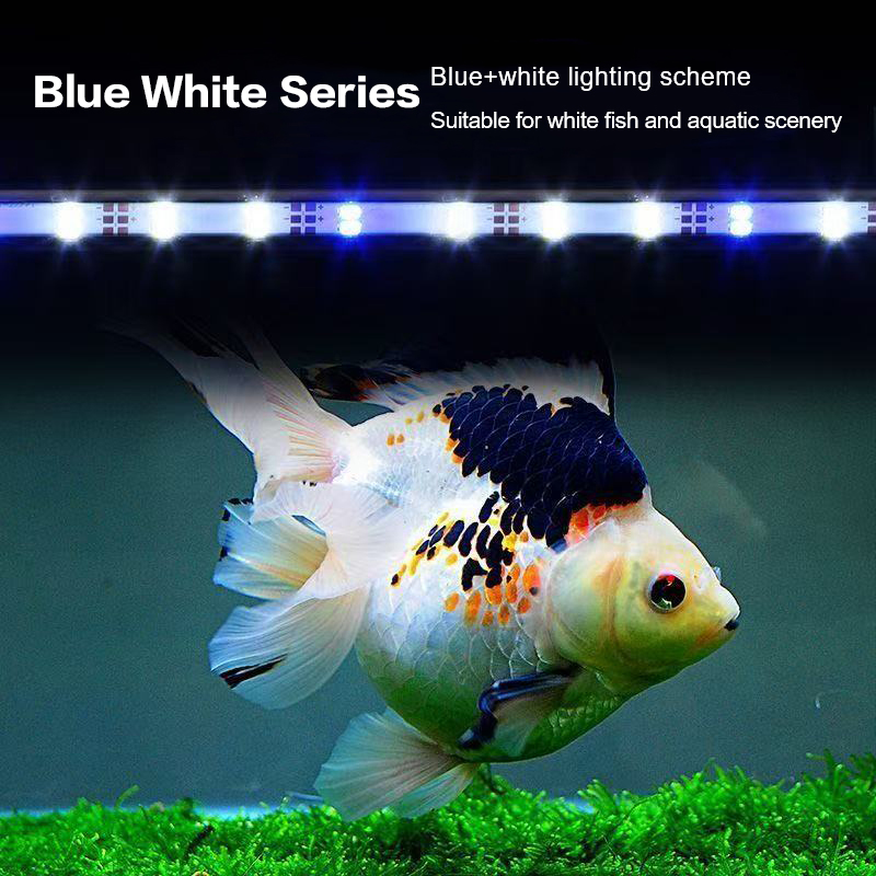 Lámpara Sumergible para Acuari - Aquarium Plant Diseases reseña y precio