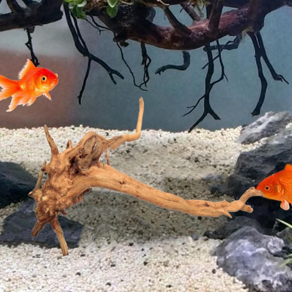 Decoración de tronco de árbol  - Aquarium Plant Guide reseña y precio