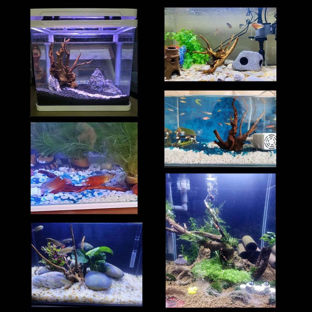 Decoración de tronco de árbol  - Aquarium Plant Guide reseña y precio