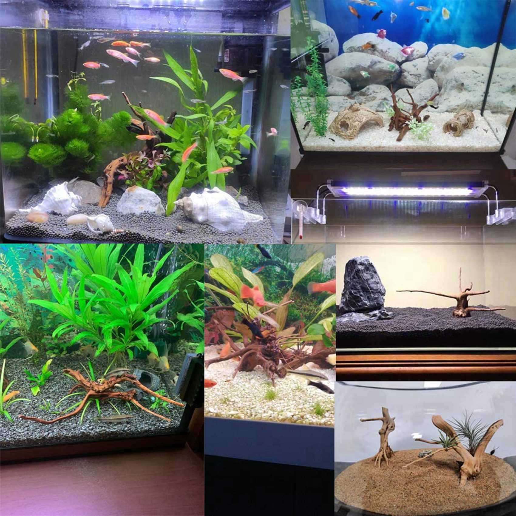 Gran oferta, Mini madera flota - Aquarium Plant Guide reseña y precio