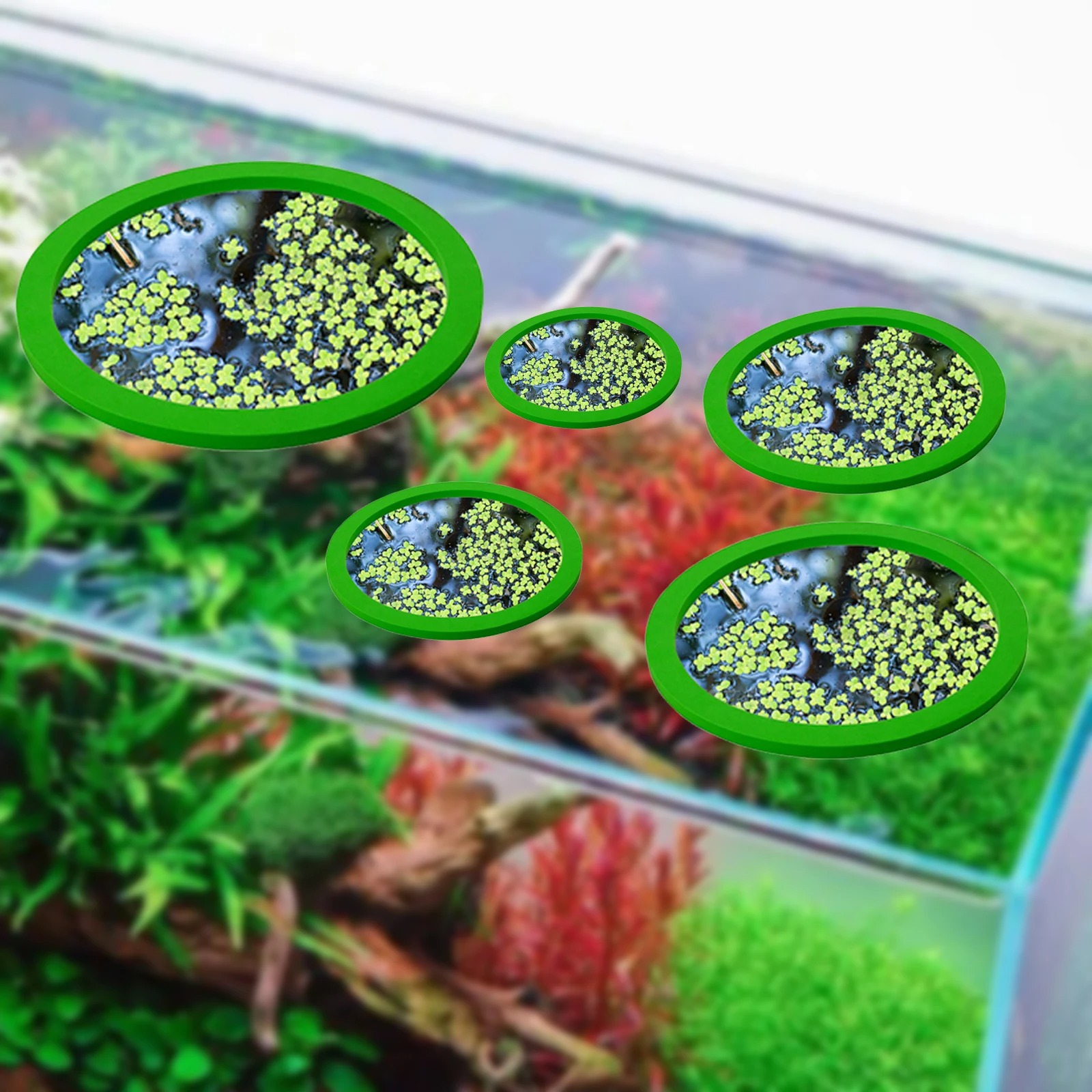 5 uds EVA anillo de alimentaci - Planted Aquarium Equipment reseña y precio