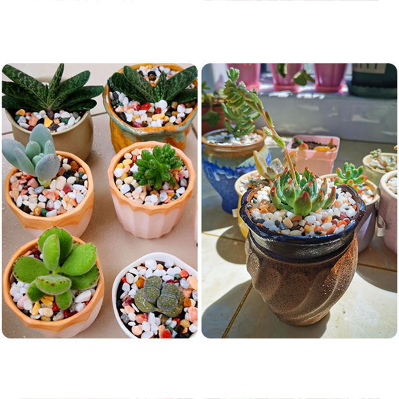 Arena para el fondo del acuari - Aquarium Planted Soil reseña y precio