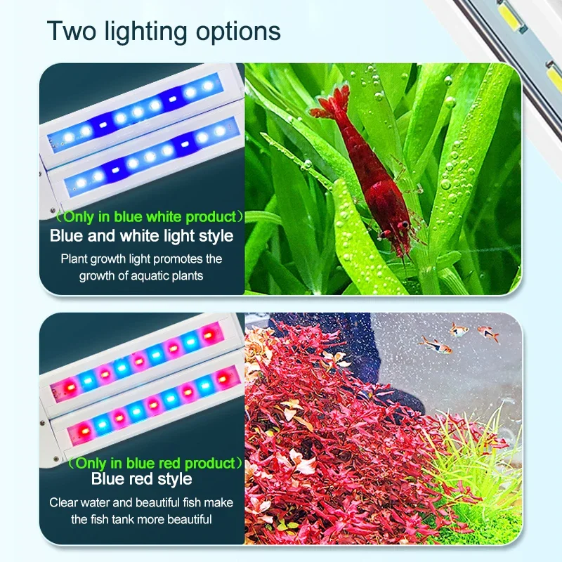 Lámpara LED con Clip superbril - Aquarium Plant Diseases reseña y precio