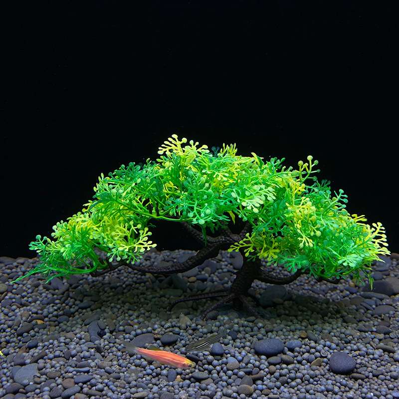 Árbol bonsái de acuario, plant - Aquarium Plant Guide reseña y precio