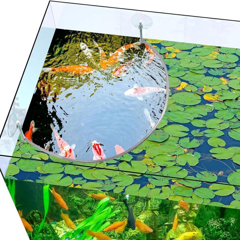 Anillo de alimentación de pece - Aquarium Planted Filter reseña y precio