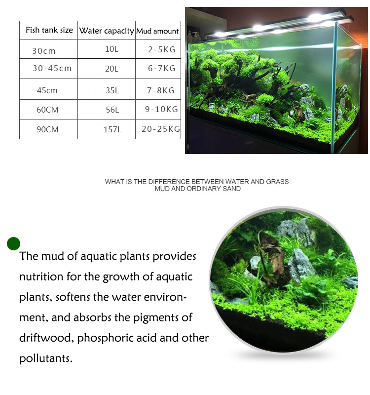 Semillas de plantas de Acuario - Planted Aquarium Moss reseña y precio