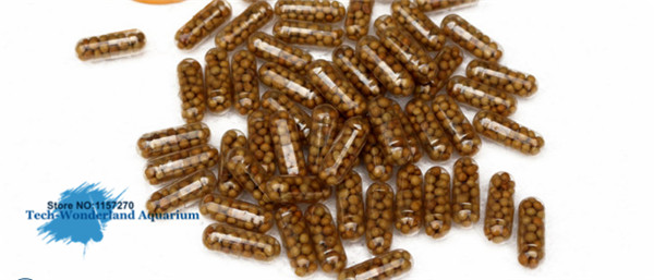 Fertilizante de raíces de 40 t - Aquarium Plant Diseases reseña y precio