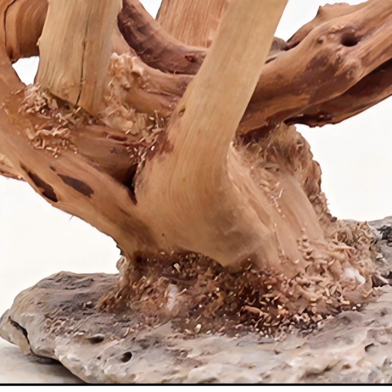 Adornos de madera para paisaji - Aquarium Plant Guide reseña y precio