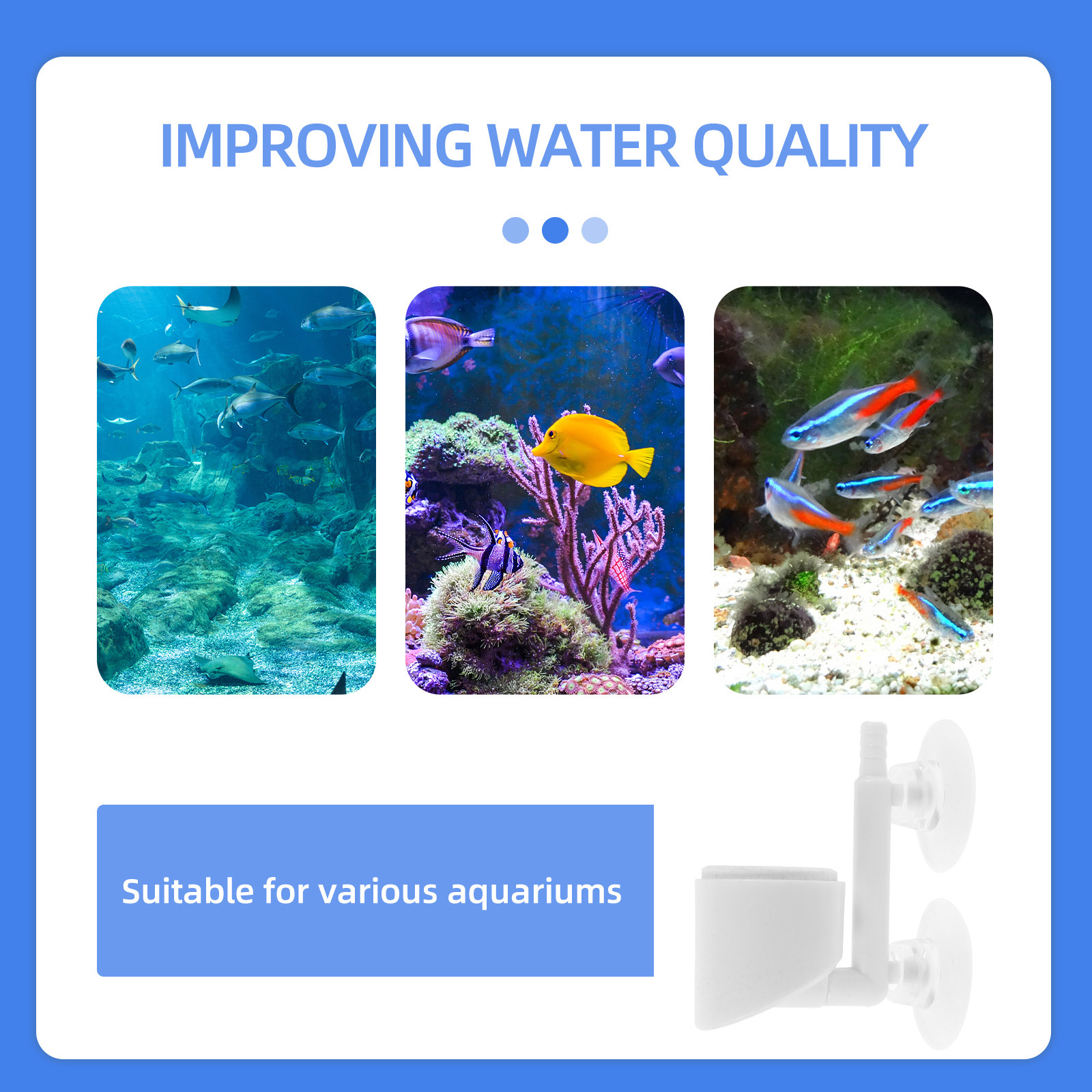 Accesorios para Bomba de Oxíge - Planted Aquarium Air Stone reseña y precio