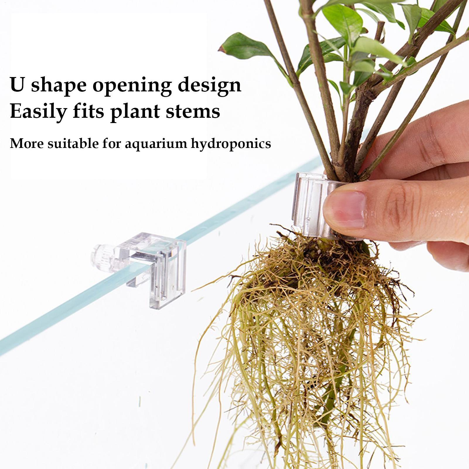 Soporte para Plantas de Acuari - Aquarium Plant Diseases reseña y precio