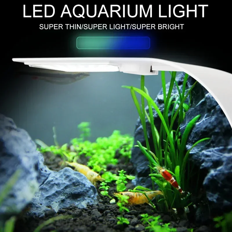Luz LED ultrafina para acuario - Aquarium Plant Diseases reseña y precio