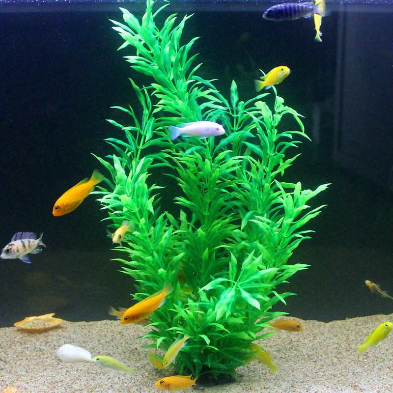 Plantas Artificiales para Acua - Planted Aquarium Equipment reseña y precio