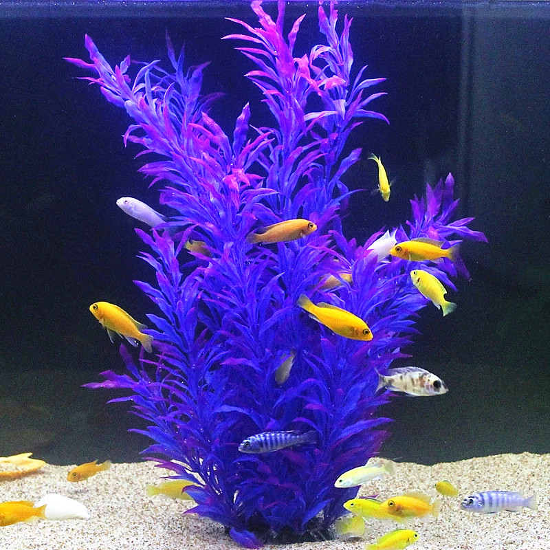 Plantas Artificiales para Acua - Planted Aquarium Equipment reseña y precio