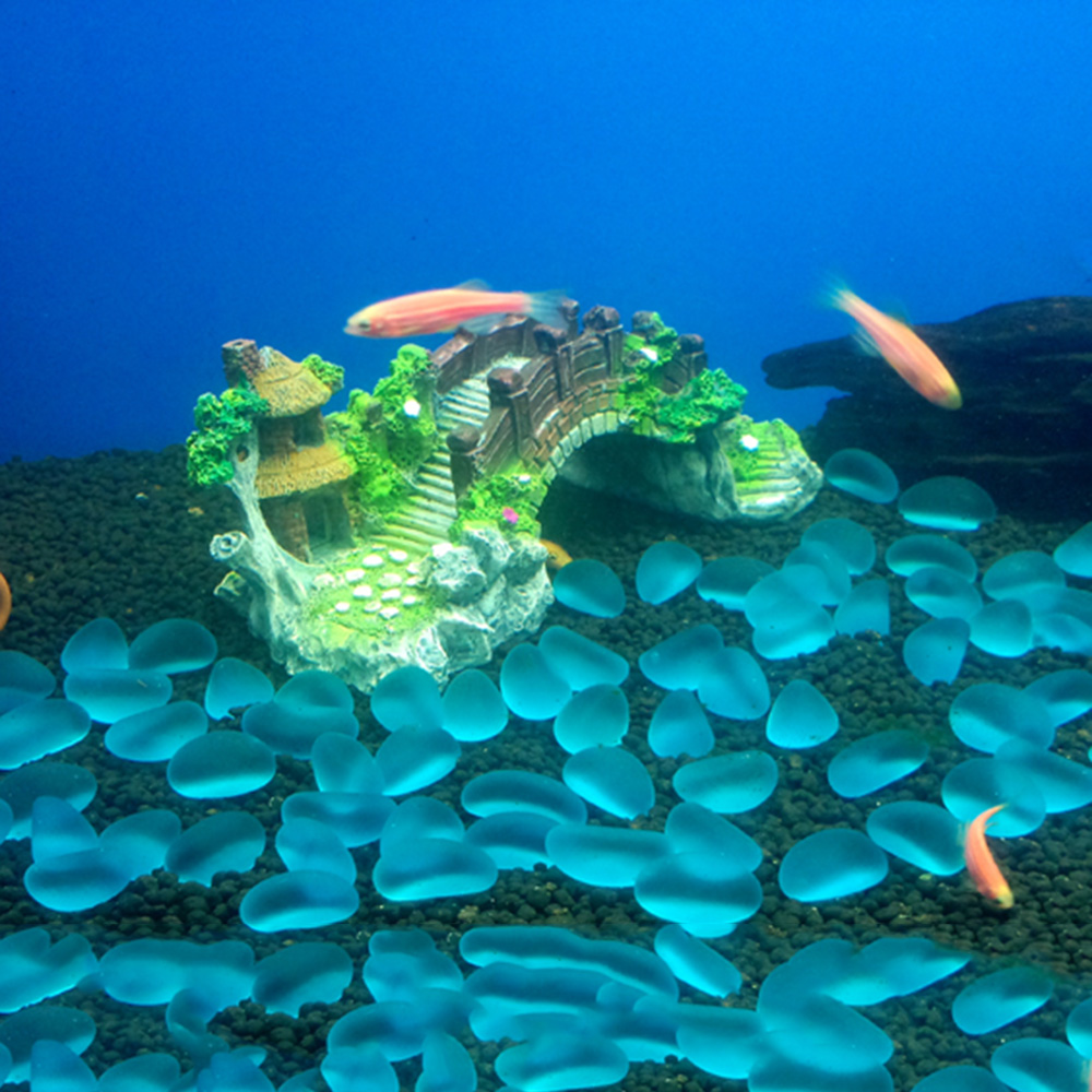 Accesorios para acuario, árbol - Aquarium Plant Guide reseña y precio