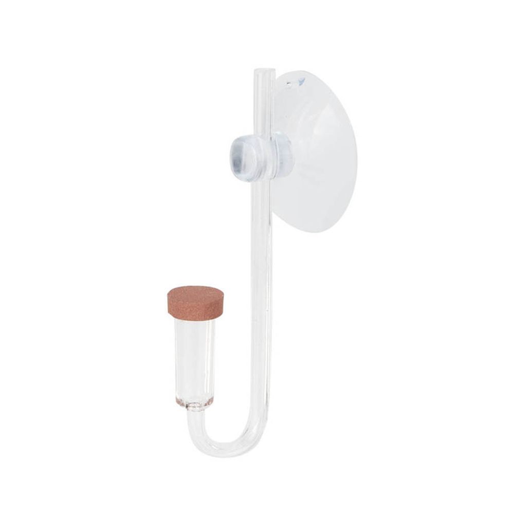 Mini pecera acrílica, planta v - Planted Aquarium Equipment reseña y precio