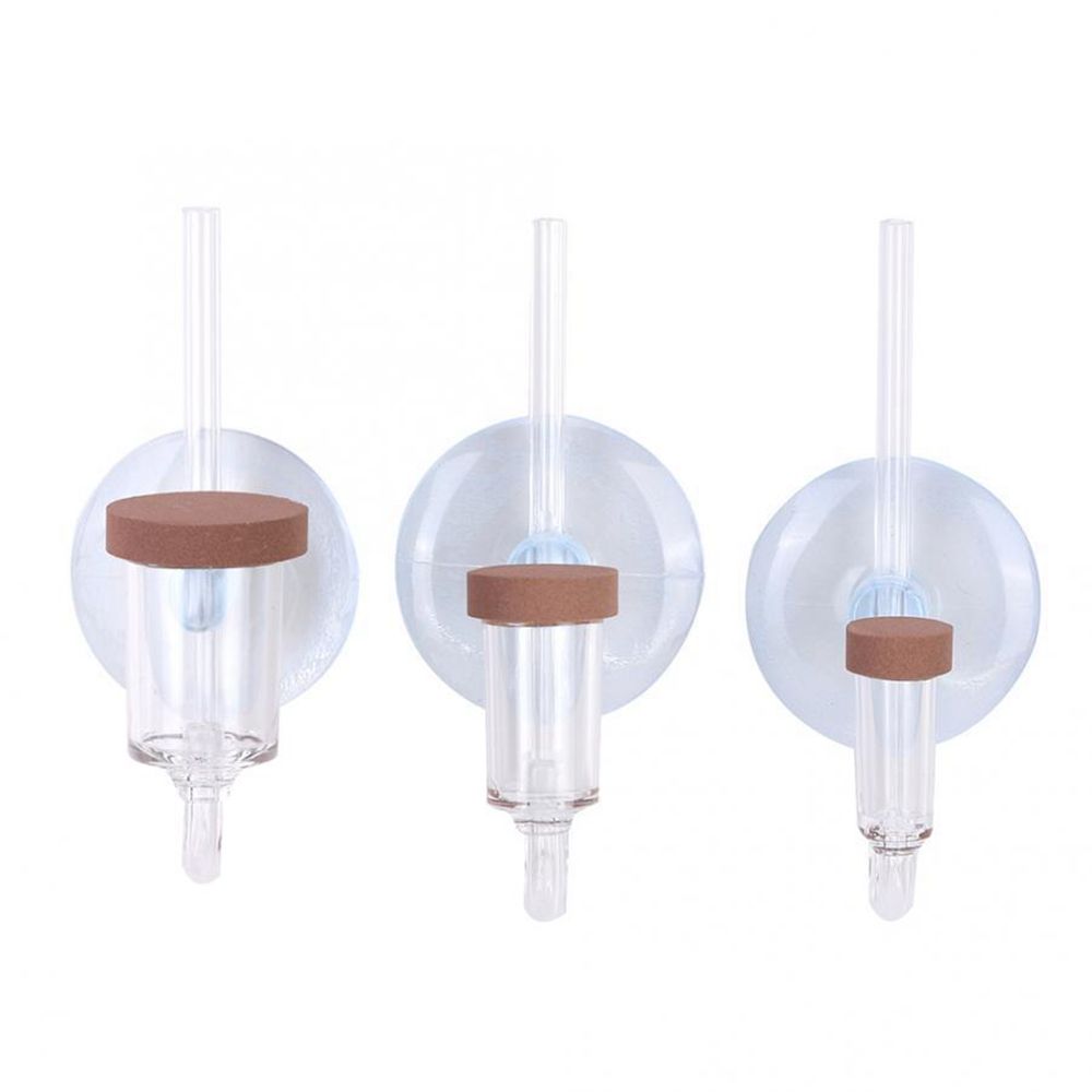 Mini pecera acrílica, planta v - Planted Aquarium Equipment reseña y precio