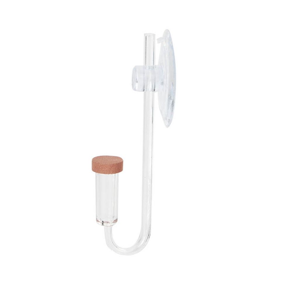 Mini pecera acrílica, planta v - Planted Aquarium Equipment reseña y precio