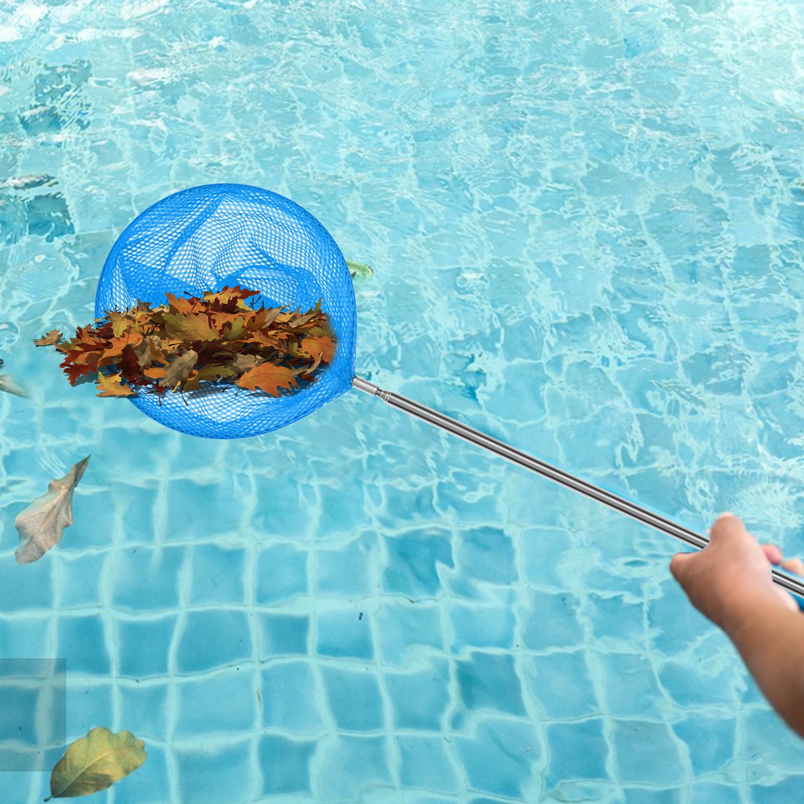 Red de limpieza para piscinas  - Aquarium Plant Iron reseña y precio