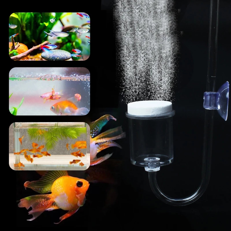 Juego de 4 piezas de difusor d - Planted Aquarium Moss reseña y precio